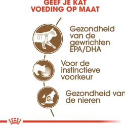 Royal Canin Ageing +12 - In Gravy - Kattenvoer - 12x85 g Bonuspack