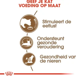 Royal Canin Ageing 12+ - Kattenvoer