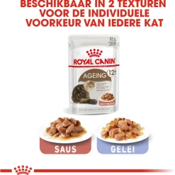 Royal Canin Ageing +12 In Jelly - Kattenvoer - 12x85 g