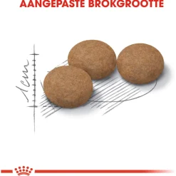 Royal Canin Ageing Sterilised 12+ - Kattenvoer