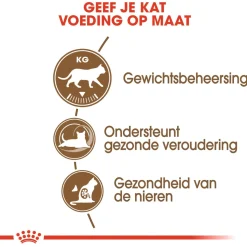 Royal Canin Ageing Sterilised 12+ - Kattenvoer