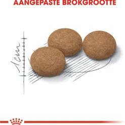 Royal Canin Ageing Sterilised 12+ - Kattenvoer