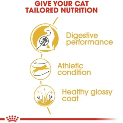 Royal Canin Bengal Adult - Kattenvoer