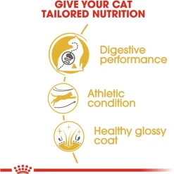 Royal Canin Bengal Adult - Kattenvoer