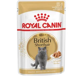 Royal Canin British Shorthair Adult Natvoer - Kattenvoer - 12x85 g