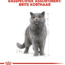 Royal Canin British Shorthair Adult Natvoer - Kattenvoer - 12x85 g