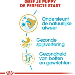 Royal Canin Bulldog - Puppy-Hondenvoer