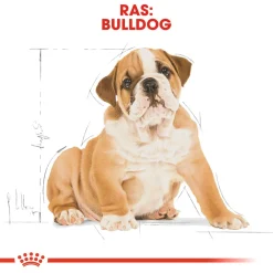 Royal Canin Bulldog - Puppy-Hondenvoer