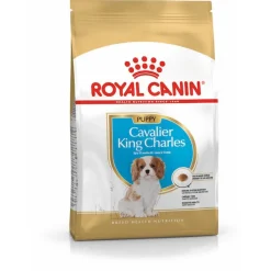 Royal Canin Cavalier King Charles - Puppy-Hondenvoer - 1.5 kg