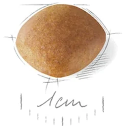 Royal Canin Cavalier King Charles - Puppy-Hondenvoer - 1.5 kg