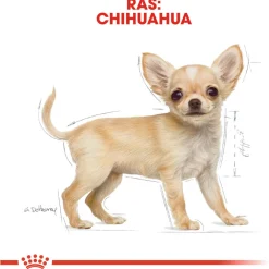 Royal Canin Chihuahua - Puppy-Hondenvoer