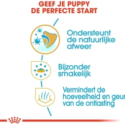 Royal Canin Chihuahua - Puppy-Hondenvoer