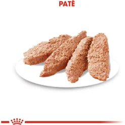 Royal Canin Coat Care Natvoer - Hondenvoer - 12x85 g