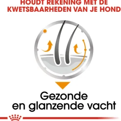 Royal Canin Coat Care Natvoer - Hondenvoer - 12x85 g