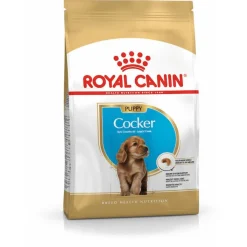 Royal Canin Cocker - Puppy-Hondenvoer - 3 kg