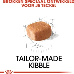 Royal Canin Dachshund - Puppy-Hondenvoer - 1.5 kg