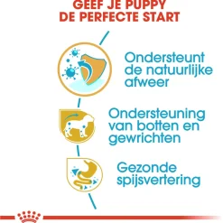 Royal Canin Dachshund - Puppy-Hondenvoer - 1.5 kg