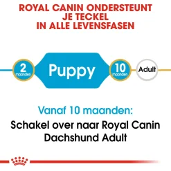 Royal Canin Dachshund - Puppy-Hondenvoer - 1.5 kg