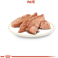 Royal Canin Dachshund Adult Natvoer - Hondenvoer - 12x85 g