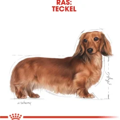 Royal Canin Dachshund Adult Natvoer - Hondenvoer - 12x85 g