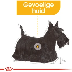 Royal Canin Dermacomfort Natvoer - Hondenvoer - 12x85 g