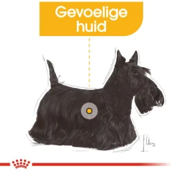 Royal Canin Dermacomfort Mini - Hondenvoer