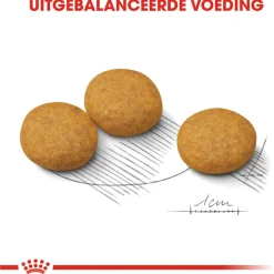Royal Canin Dermacomfort Medium - Hondenvoer