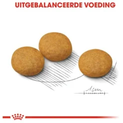 Royal Canin Dermacomfort Medium - Hondenvoer