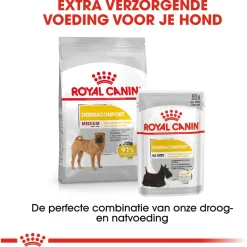 Royal Canin Dermacomfort Medium - Hondenvoer