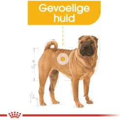 Royal Canin Dermacomfort Medium - Hondenvoer