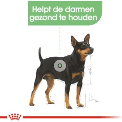 Royal Canin Digestive Care Natvoer - Hondenvoer - 12x85 g