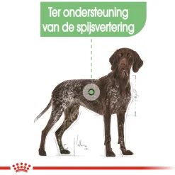 Royal Canin Digestive Care Maxi - Hondenvoer