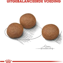 Royal Canin Digestive Care Medium - Hondenvoer