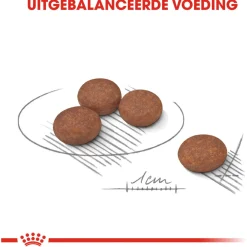 Royal Canin Digestive Care Mini - Hondenvoer