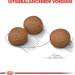 Royal Canin Digestive Care Medium - Hondenvoer - 12 kg