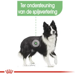 Royal Canin Digestive Care Medium - Hondenvoer - 12 kg