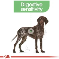 Royal Canin Digestive Care Maxi - Hondenvoer - 12 kg