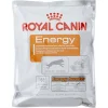 Royal Canin Energy Trainingsbrokje - Hondensnacks - 50 g
