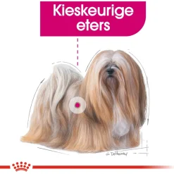 Royal Canin Exigent Natvoer - Hondenvoer - 12x85 g
