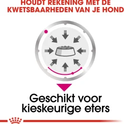 Royal Canin Exigent Natvoer - Hondenvoer - 12x85 g