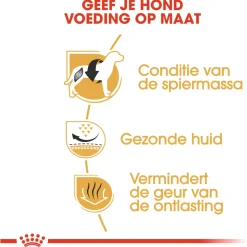 Royal Canin French Bulldog Adult - Hondenvoer