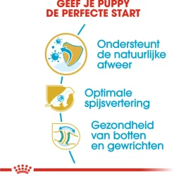 Royal Canin German Shepherd - Puppy-Hondenvoer