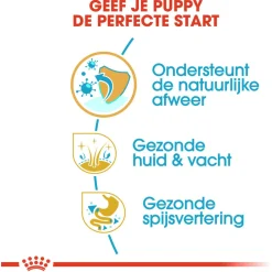 Royal Canin Golden Retriever - Puppy-Hondenvoer