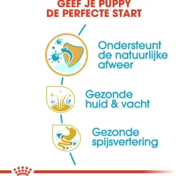 Royal Canin Golden Retriever - Puppy-Hondenvoer