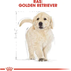 Royal Canin Golden Retriever - Puppy-Hondenvoer
