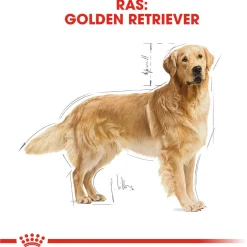 Royal Canin Golden Retriever Adult - Hondenvoer