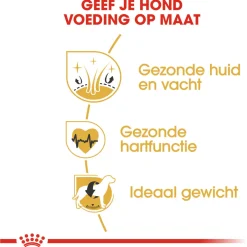 Royal Canin Golden Retriever Adult - Hondenvoer