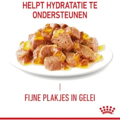 Royal Canin Hair & Skin Care In Jelly - Kattenvoer - 12x85 g