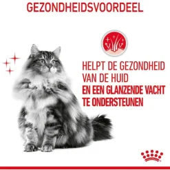 Royal Canin Hair & Skin Care In Jelly - Kattenvoer - 12x85 g