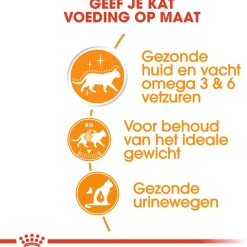 Royal Canin Hair & Skin Care In Jelly - Kattenvoer - 12x85 g